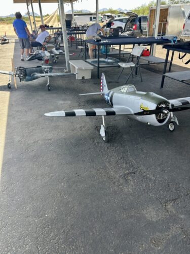 Warbirds!